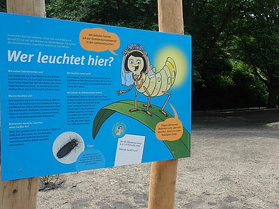 Umweltbildungsort Senftenberger See Bild-0