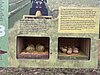 Wiesenbrüterlehrpfad Donaumoos Bild-4