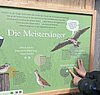 Wiesenbrüterlehrpfad Donaumoos Bild-2