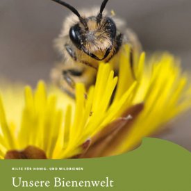 Broschüre „Unsere Bienenwelt“